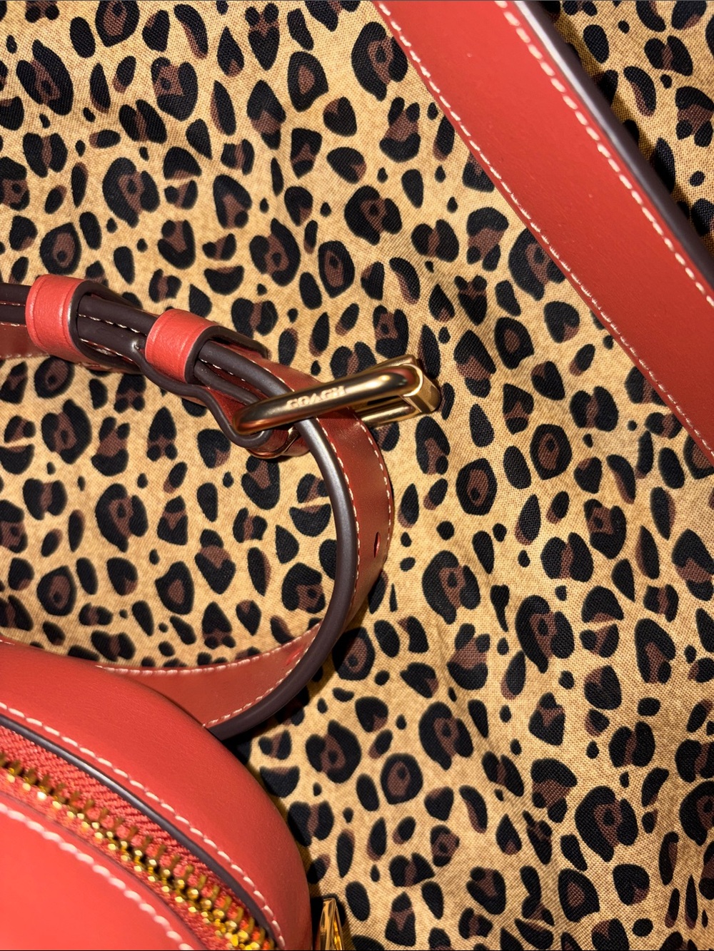 Coach X Tom Wesselmann Lips Crossbody Bag NWOT - Picture 7 of 12